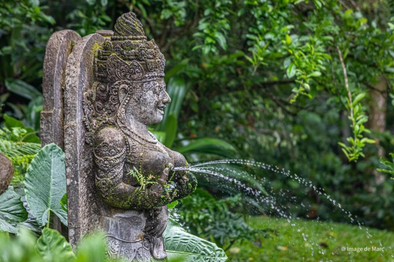 गेस्ट हाउस Dewangga